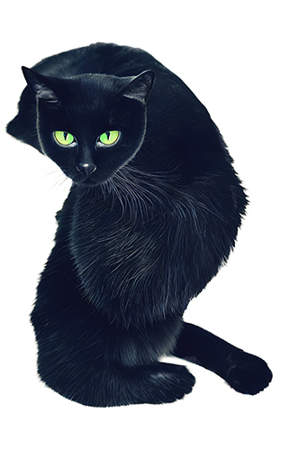 Fekete macska --NR | Digitális nyomat, 2022